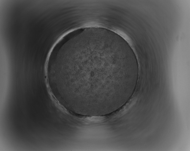 X0000100491008200806131246