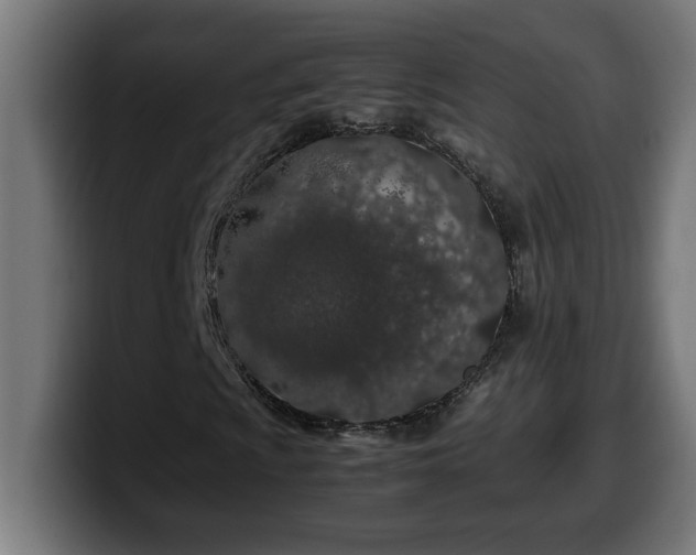 X0000100491009200806131245