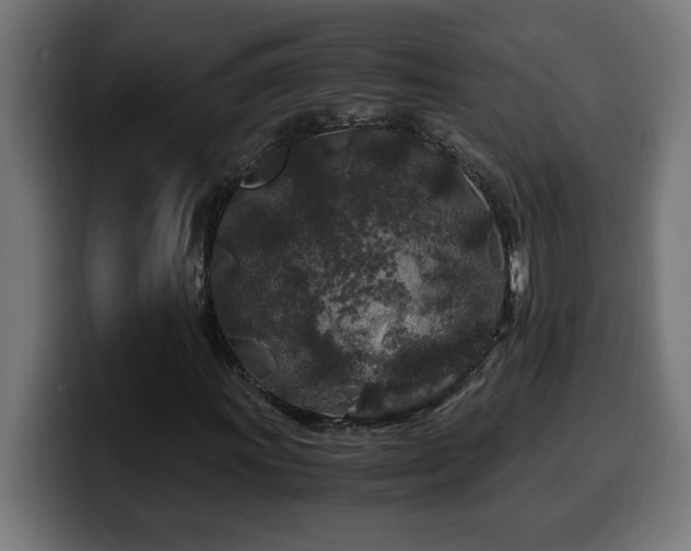 X0000100491011200806131245