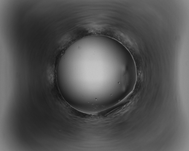 X0000100491012200806131245