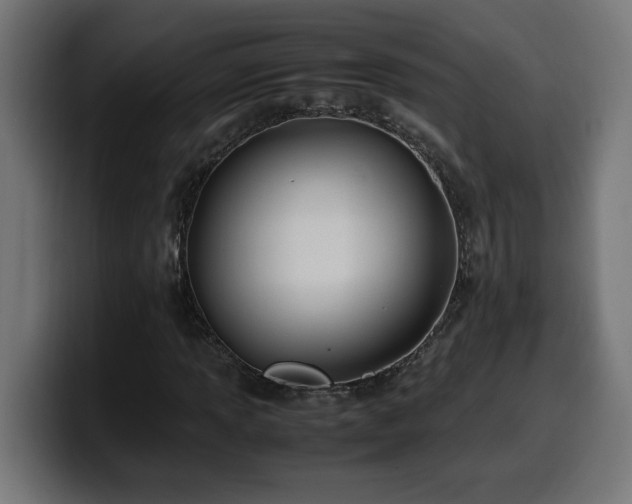 X0000100491013200806131245