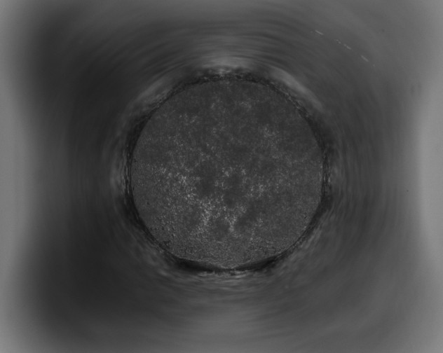 X0000100491014200806131245