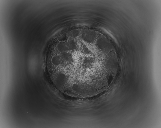 X0000100491015200806131245