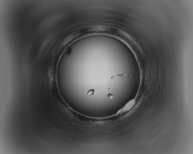 X0000100491017200806131246