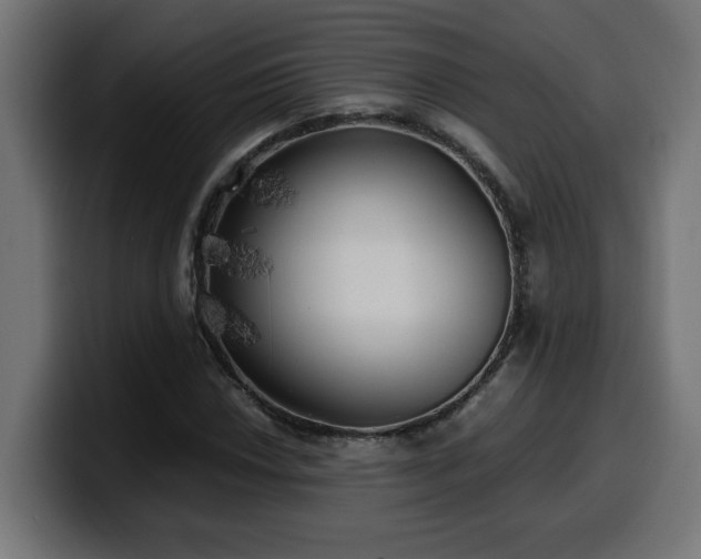 X0000100491018200806131246