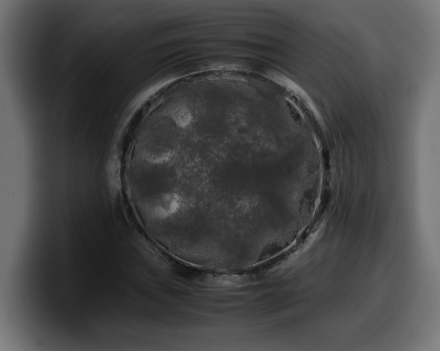 X0000100491019200806131246