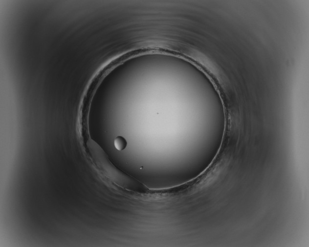 X0000100491020200806131246