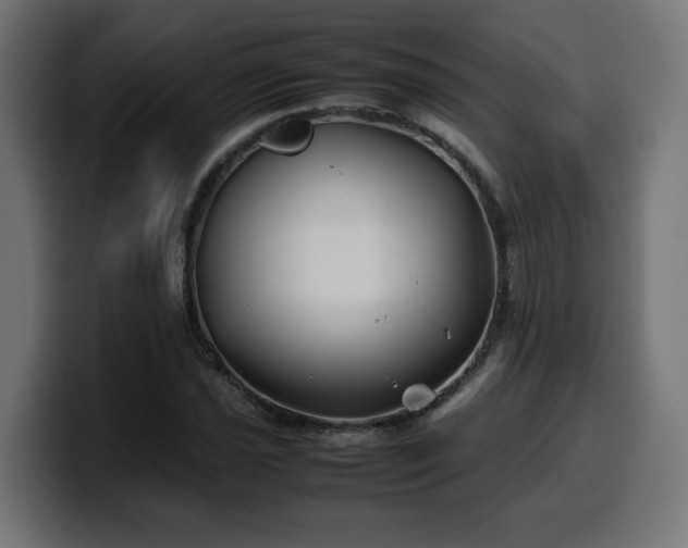 X0000100491021200806131246