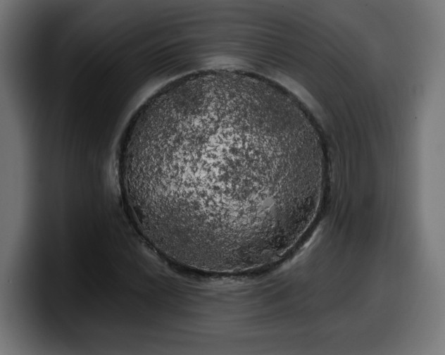 X0000100491022200806131246