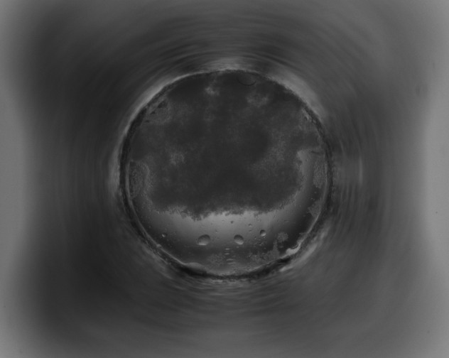 X0000100491023200806131246