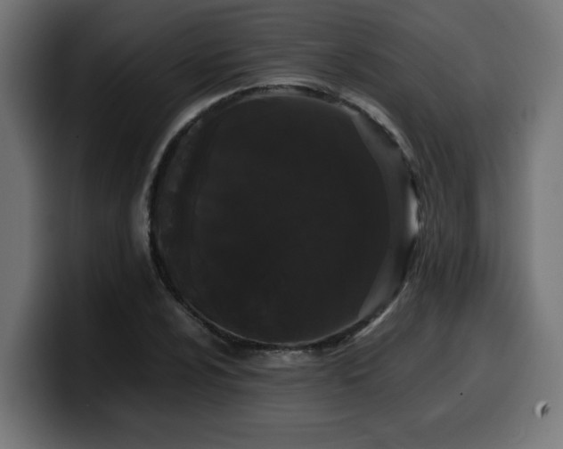 X0000100491024200806131246