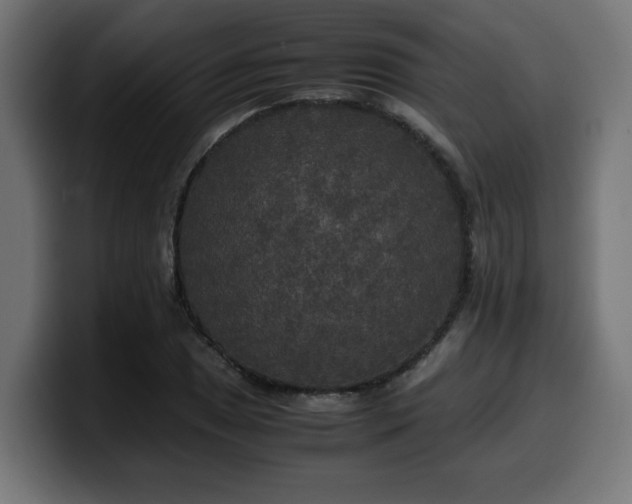 X0000100491025200806131246