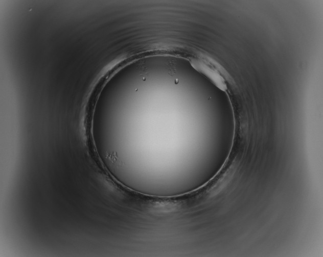 X0000100491026200806131246