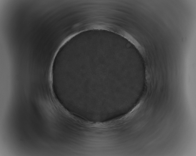 X0000100491028200806131246