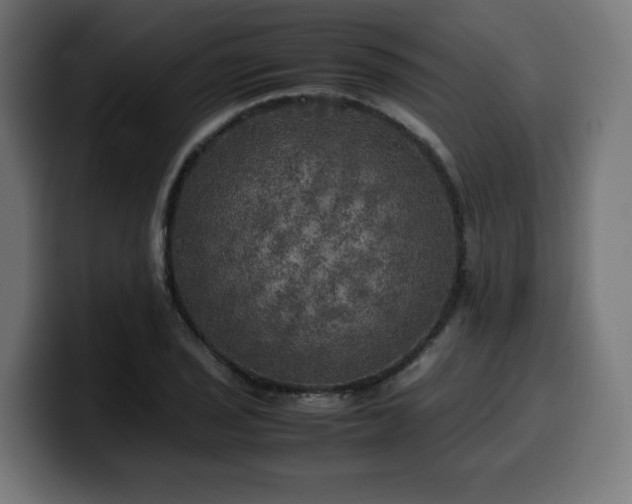 X0000100491029200806131246