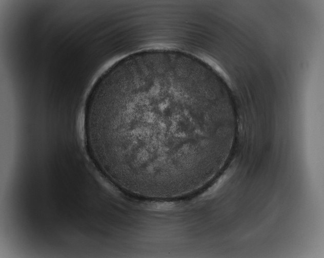 X0000100491030200806131246