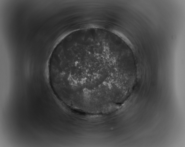 X0000100491031200806131246