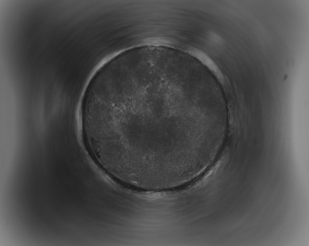 X0000100491032200806131246