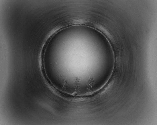 X0000100491034200806131246