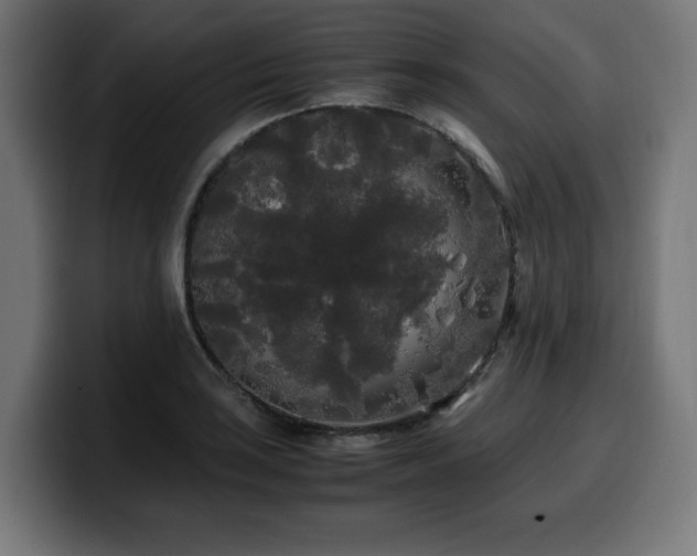 X0000100491035200806131246
