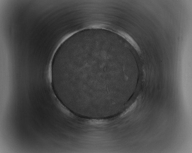 X0000100491036200806131246
