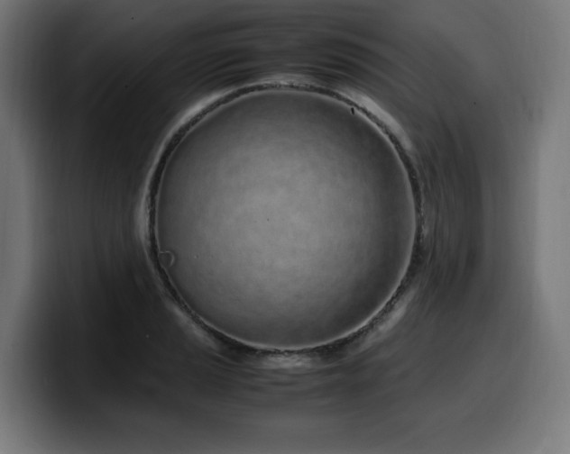 X0000100491037200806131246