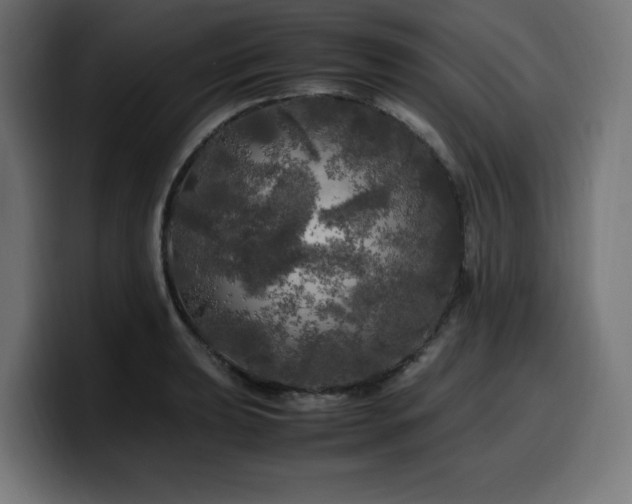 X0000100491039200806131246