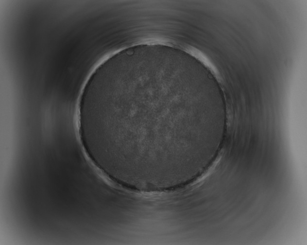 X0000100491040200806131246