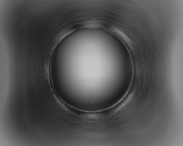 X0000100491041200806131246