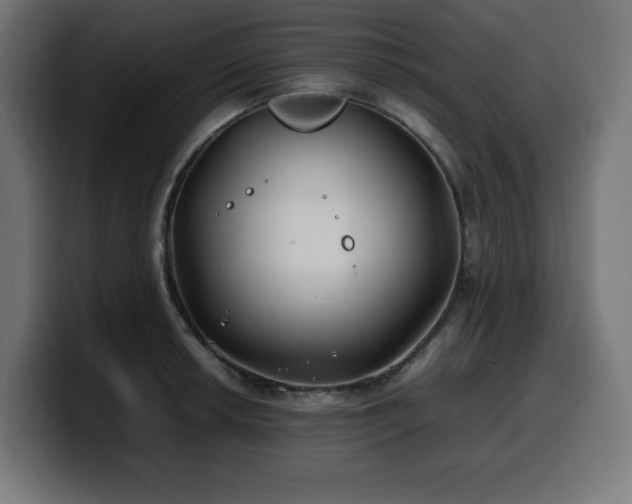 X0000100491042200806131246