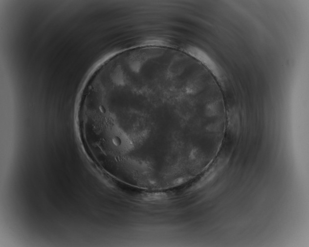 X0000100491043200806131246