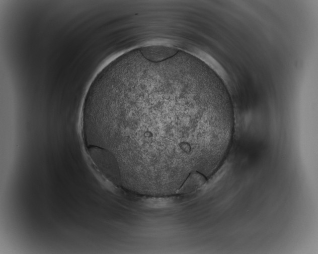 X0000100491044200806131246