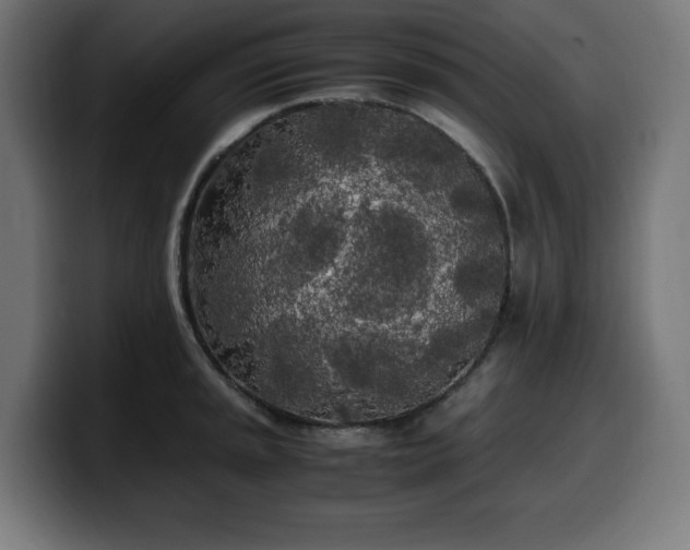 X0000100491045200806131246
