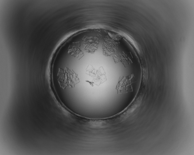 X0000100491046200806131246
