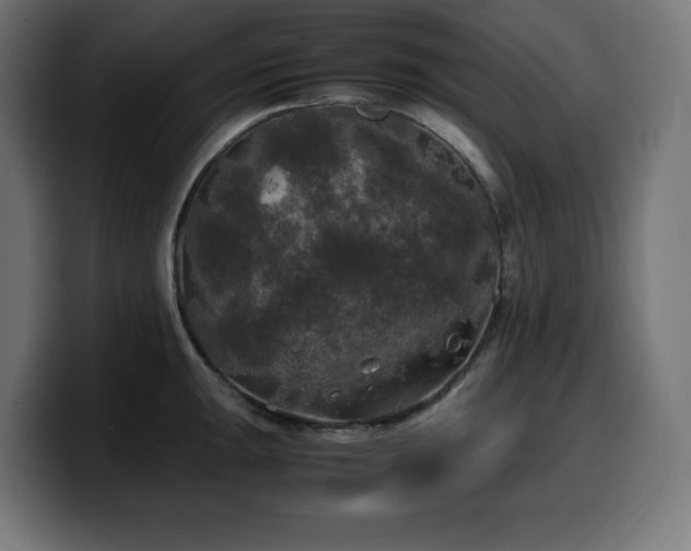 X0000100491047200806131246