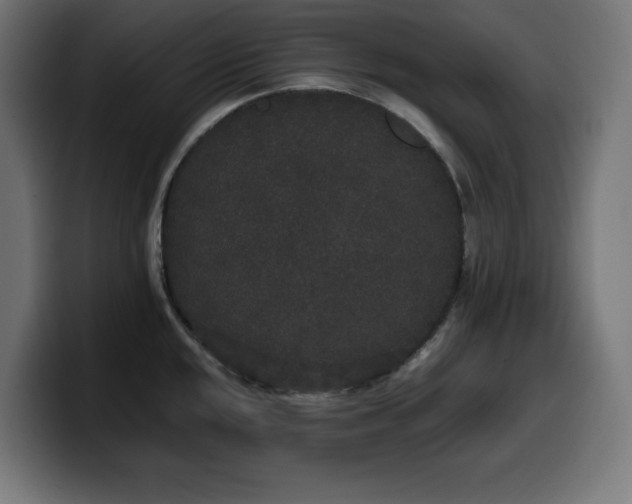 X0000100491048200806131246