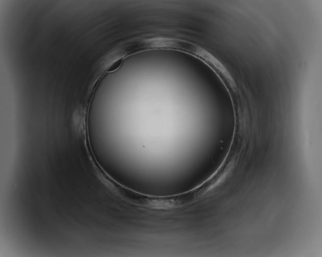 X0000100491049200806131246