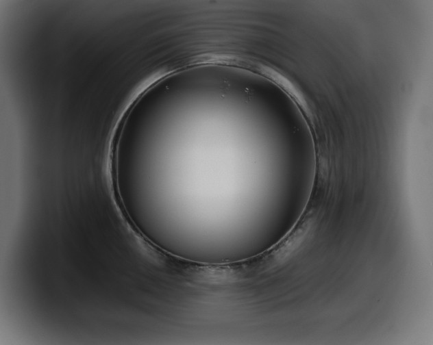 X0000100491050200806131246