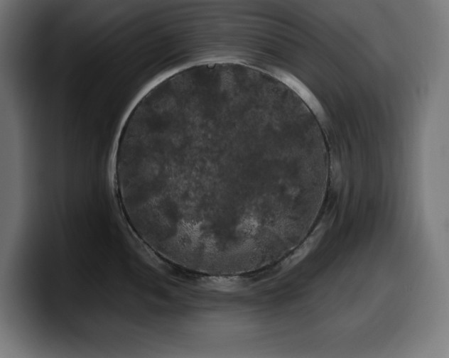 X0000100491052200806131246