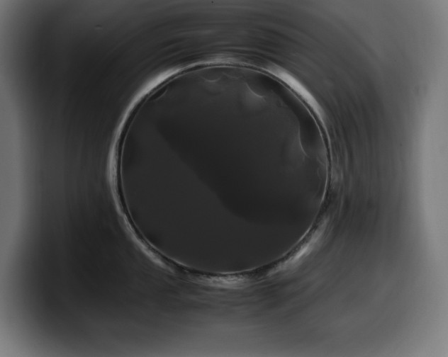 X0000100491053200806131246