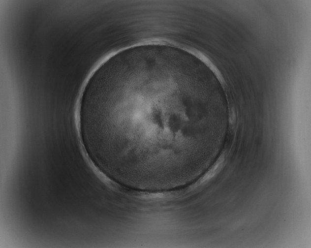 X0000100491054200806131246