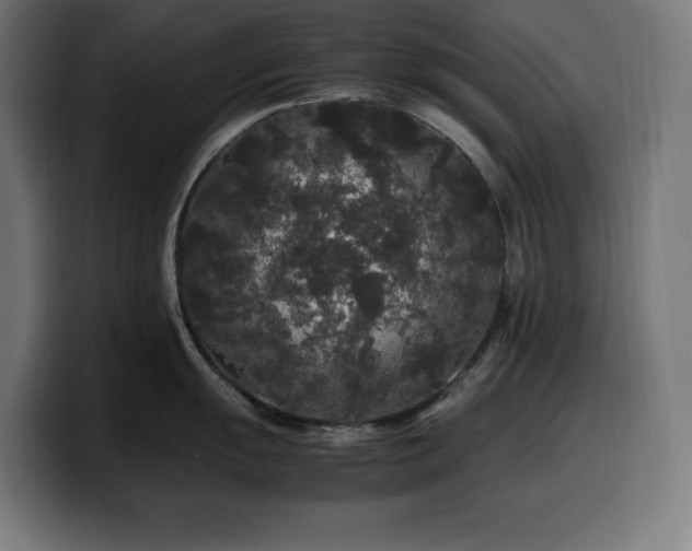 X0000100491055200806131246