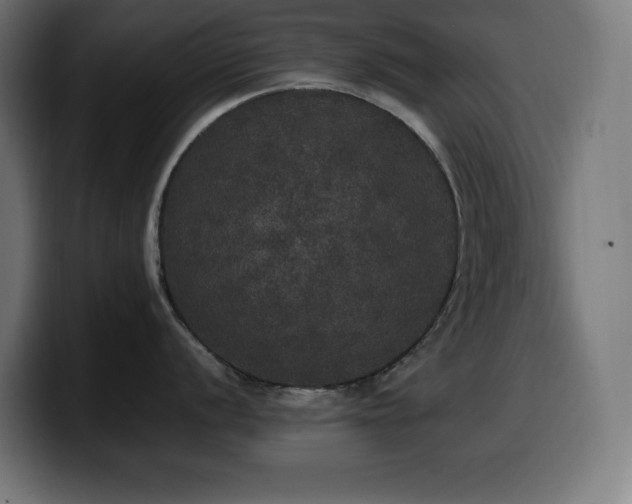X0000100491056200806131246