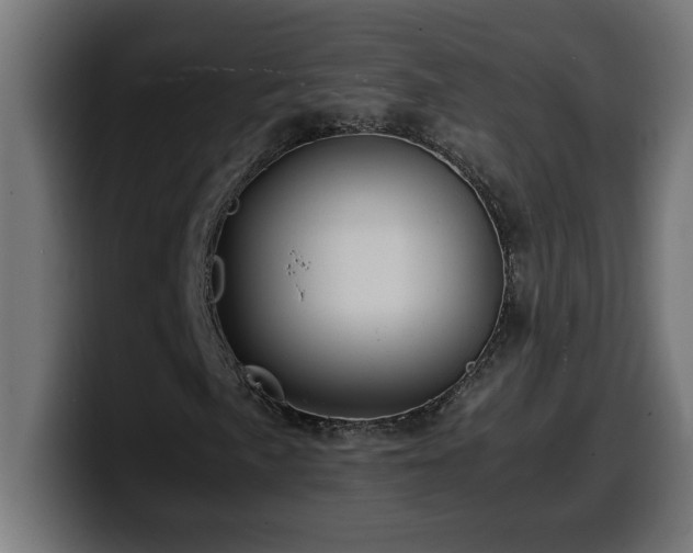 X0000100491057200806131245