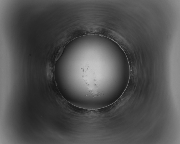 X0000100491058200806131245