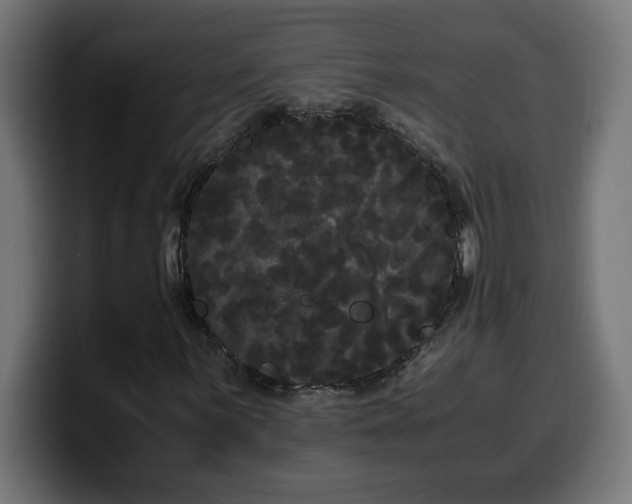 X0000100491059200806131245