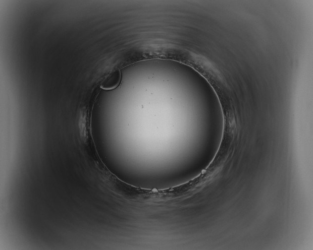 X0000100491060200806131245
