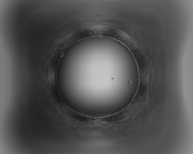 X0000100491061200806131245