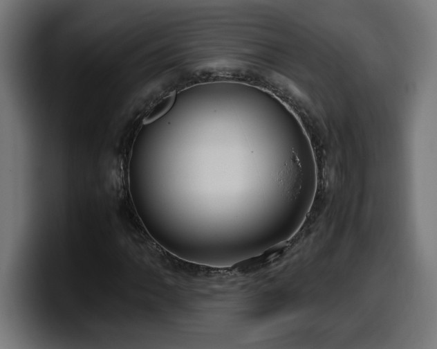 X0000100491062200806131245