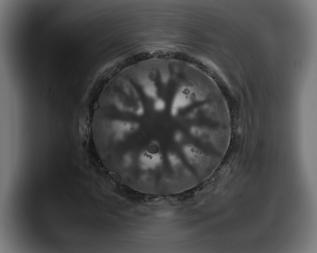 X0000100491063200806131245